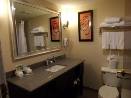 Holiday Inn Express Lexington Southwest Nicholasville an IHG Hotel - image 7