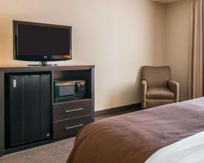 Quality Inn & Suites Niles - image 13