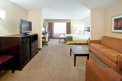 Holiday Inn Express Hotel & Suites Nogales an IHG Hotel - image 3