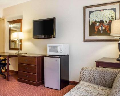 Quality Hotel Americana Nogales - image 14