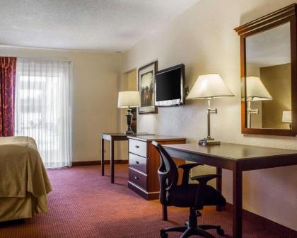 Quality Hotel Americana Nogales - image 15