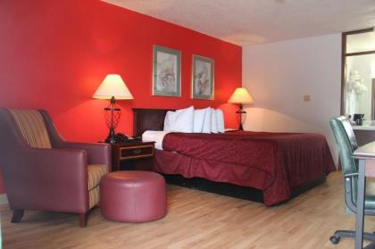 Norfolk Country Inn and Suites - image 7