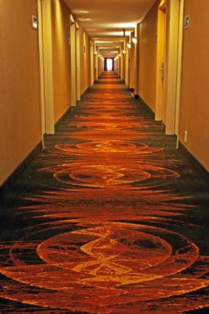 Hampton Inn & Suites Norfolk-Airport - image 2