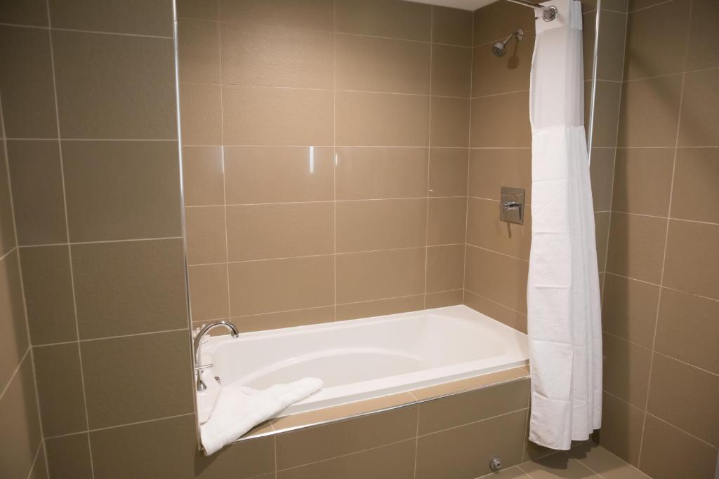 Best Western Premier NYC Gateway Hotel - image 6