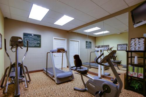 Holiday Inn Express Hotel & Suites Charleston-Ashley Phosphate an IHG Hotel - image 3