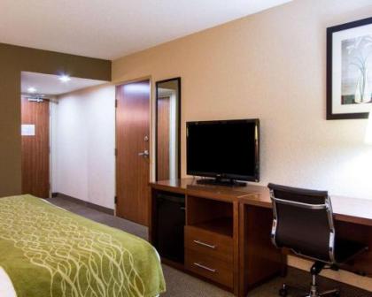 Comfort Inn & Suites Convention Center - image 2