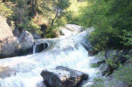 Yosemite Bass Lake-Creek Hikers Ranch Home - image 8