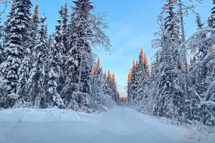 Secluded Log Cabin with Patio and Chena River Access! - image 13