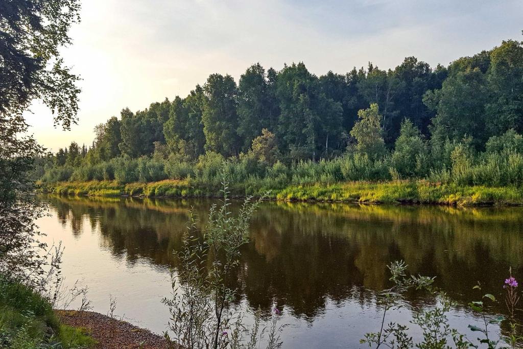 Secluded Log Cabin with Patio and Chena River Access! - image 5