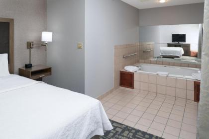 Hampton Inn North Sioux City - image 15