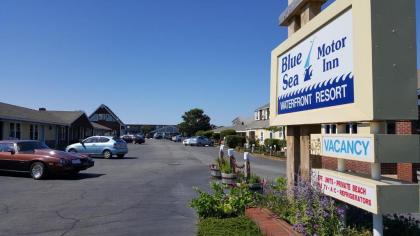 Blue Sea Motor Inn - image 4