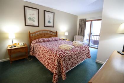 Deer Park Vacation Rental near Loon Mountain and Cannon Ski Areas - image 5