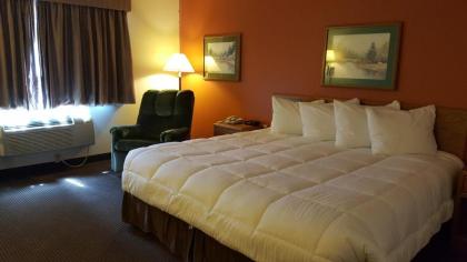 Americas Best Value Inn & Suites - Norway - image 2