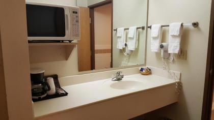 Americas Best Value Inn & Suites - Norway - image 4