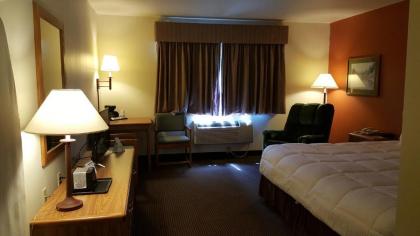 Americas Best Value Inn & Suites - Norway - image 8