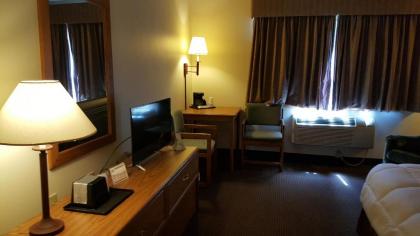 Americas Best Value Inn & Suites - Norway - image 9