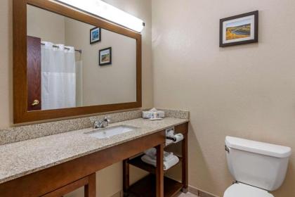 Comfort Inn & Suites St Louis-O'Fallon - image 13