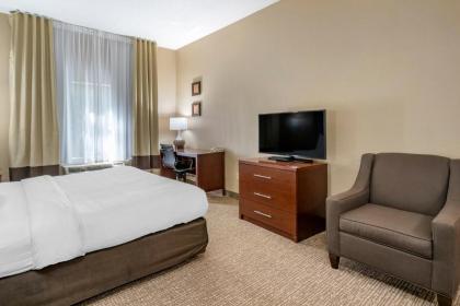 Comfort Inn & Suites St Louis-O'Fallon - image 5