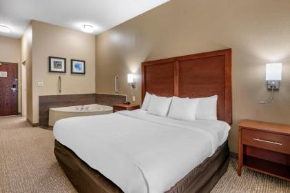 Comfort Inn & Suites St Louis-O'Fallon - image 6