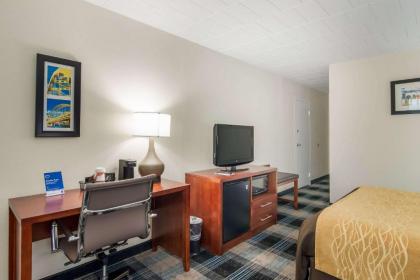 Comfort Inn and Suites Pittsburgh - image 11