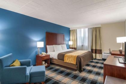 Comfort Inn and Suites Pittsburgh - image 9