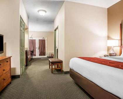 Comfort Suites Milwaukee Airport - image 11