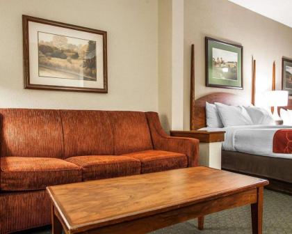 Comfort Suites Milwaukee Airport - image 12