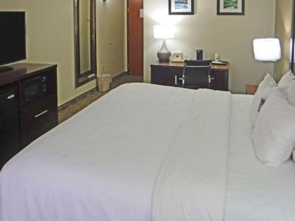 Comfort Inn New River - image 11