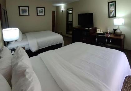 Comfort Inn New River - image 13