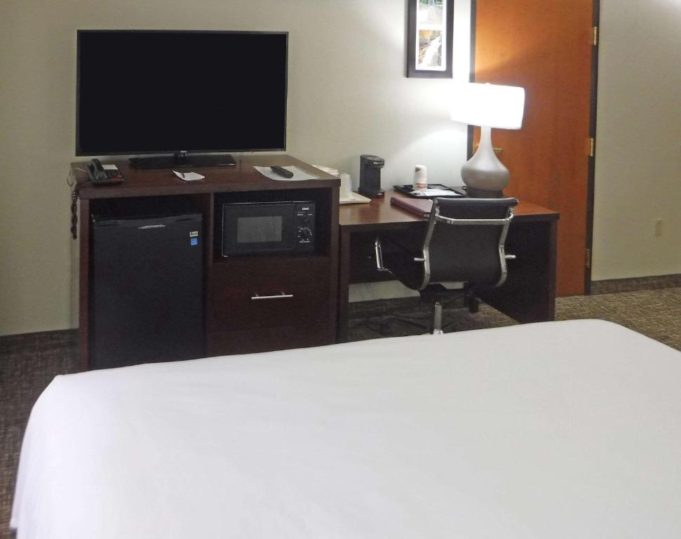 Comfort Inn New River - image 7