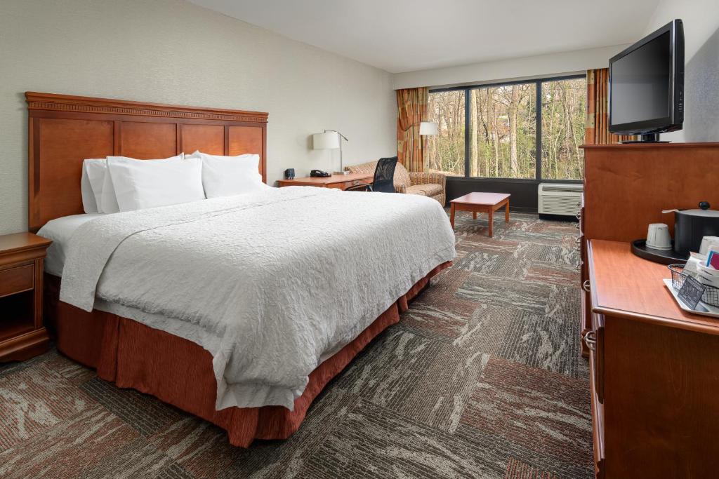 Hampton Inn Oak Ridge Knoxville - image 7