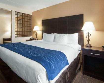 Comfort Inn Oak Ridge - image 11