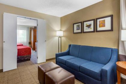 Comfort Suites Oakbrook Terrace near Oakbrook Center - image 17