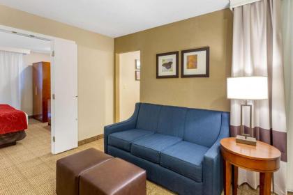 Comfort Suites Oakbrook Terrace near Oakbrook Center - image 6