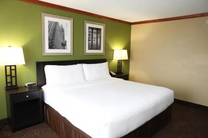 Holiday Inn Chicago/Oak Brook an IHG Hotel - image 10