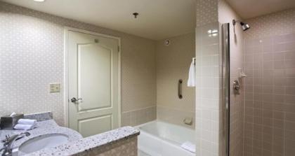 Hilton Suites Chicago/Oakbrook Terrace - image 15