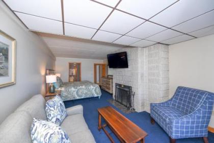 102B - One Bedroom Lakefront Condo with Fireplace & Free WIFI! - image 2