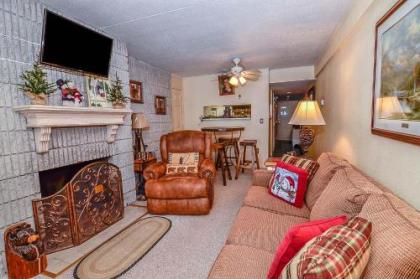 106A - Recently Renovated Lakefront Efficiency Condo with Fireplace!