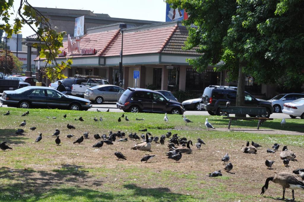 Americas Best Value Inn - Downtown Oakland/Lake Merritt - image 4