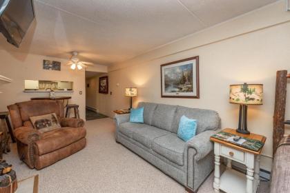 106A - Recently Renovated Lakefront Efficiency Condo with Fireplace! - image 2