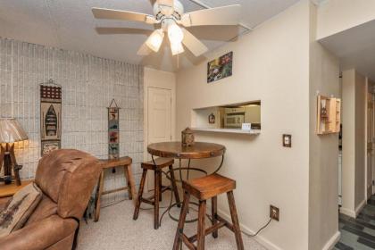 106A - Recently Renovated Lakefront Efficiency Condo with Fireplace! - image 5