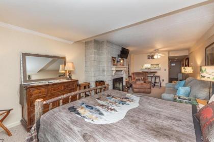 106A - Recently Renovated Lakefront Efficiency Condo with Fireplace! - image 7