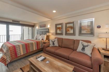 203A - Lakefront Efficiency Condo Access to Indoor Pool! - image 1