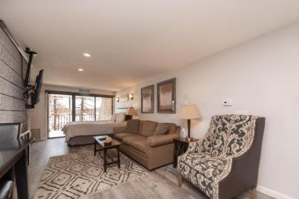 205A - Lakefront Efficiency Condo Expansive Lake Views Fireplace Free WIFI! - image 16