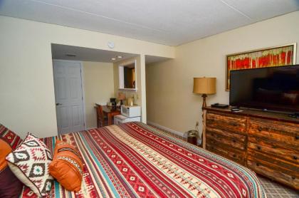 305E - Lakefront 3 Bedroom Condo with 3 Baths Sleeps 8 Free WIFI! - image 17