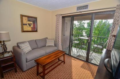 710H - Lakefront Studio Condo with Full Kitchen Free WIFI! - image 3