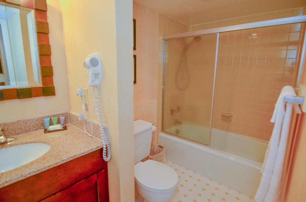 710H - Lakefront Studio Condo with Full Kitchen Free WIFI! - image 6