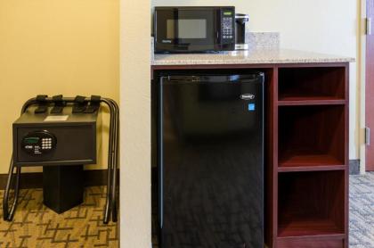 Cobblestone Inn & Suites - Oberlin - image 4