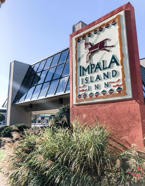 Impala Island Inn - main image