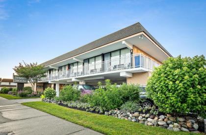 Harris House by the Beach - image 14